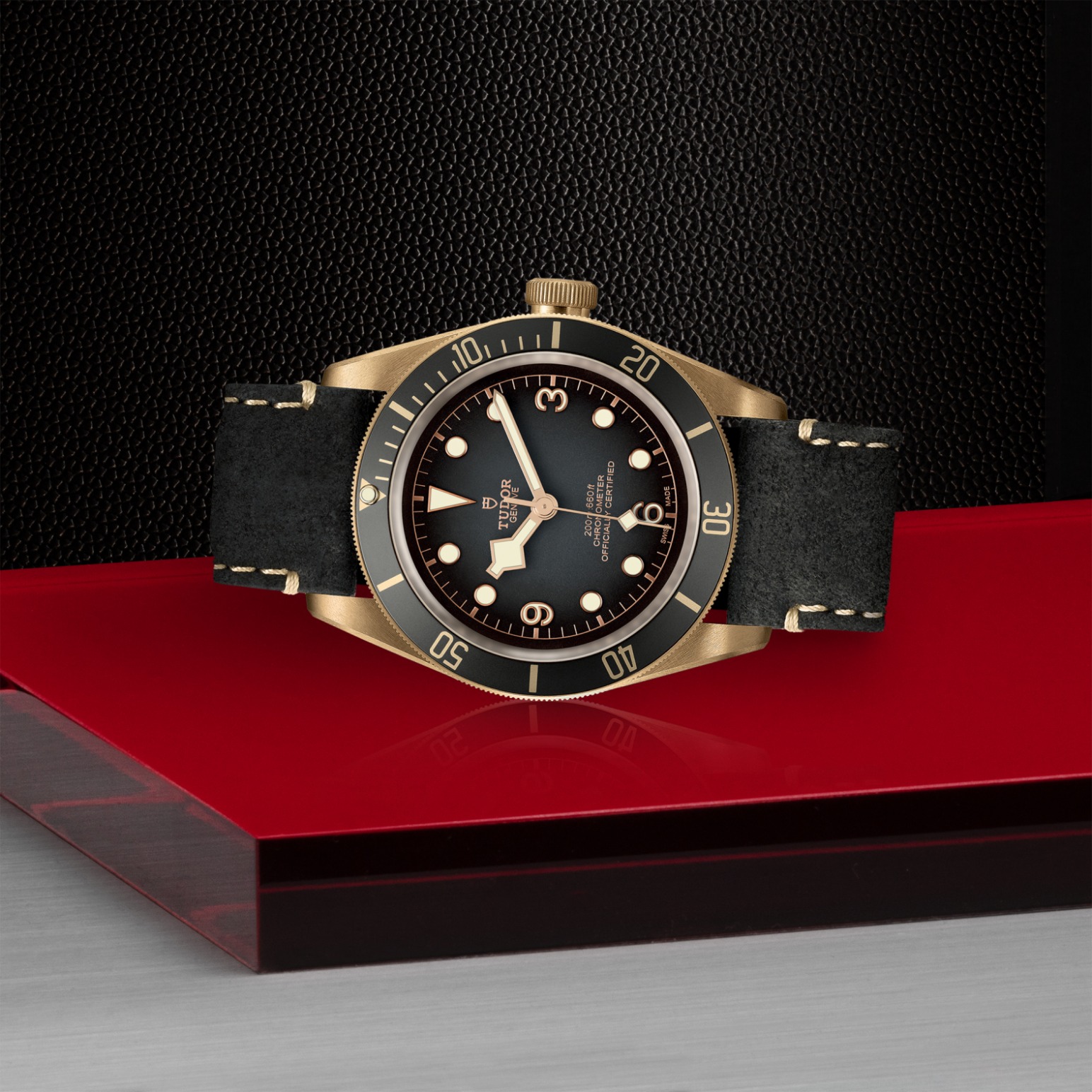 Tudor Thumbnail