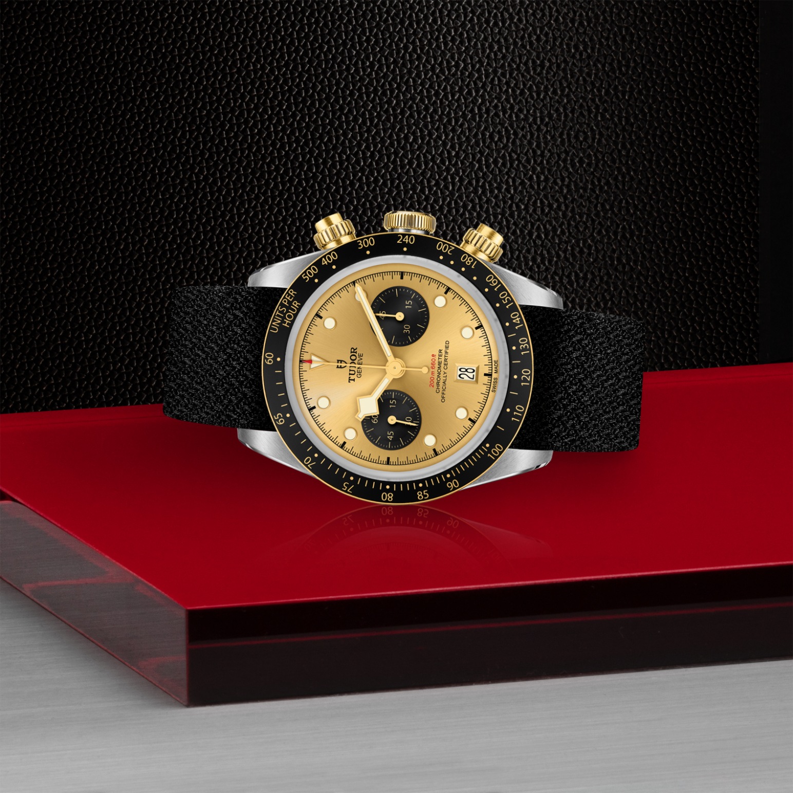 Tudor Thumbnail