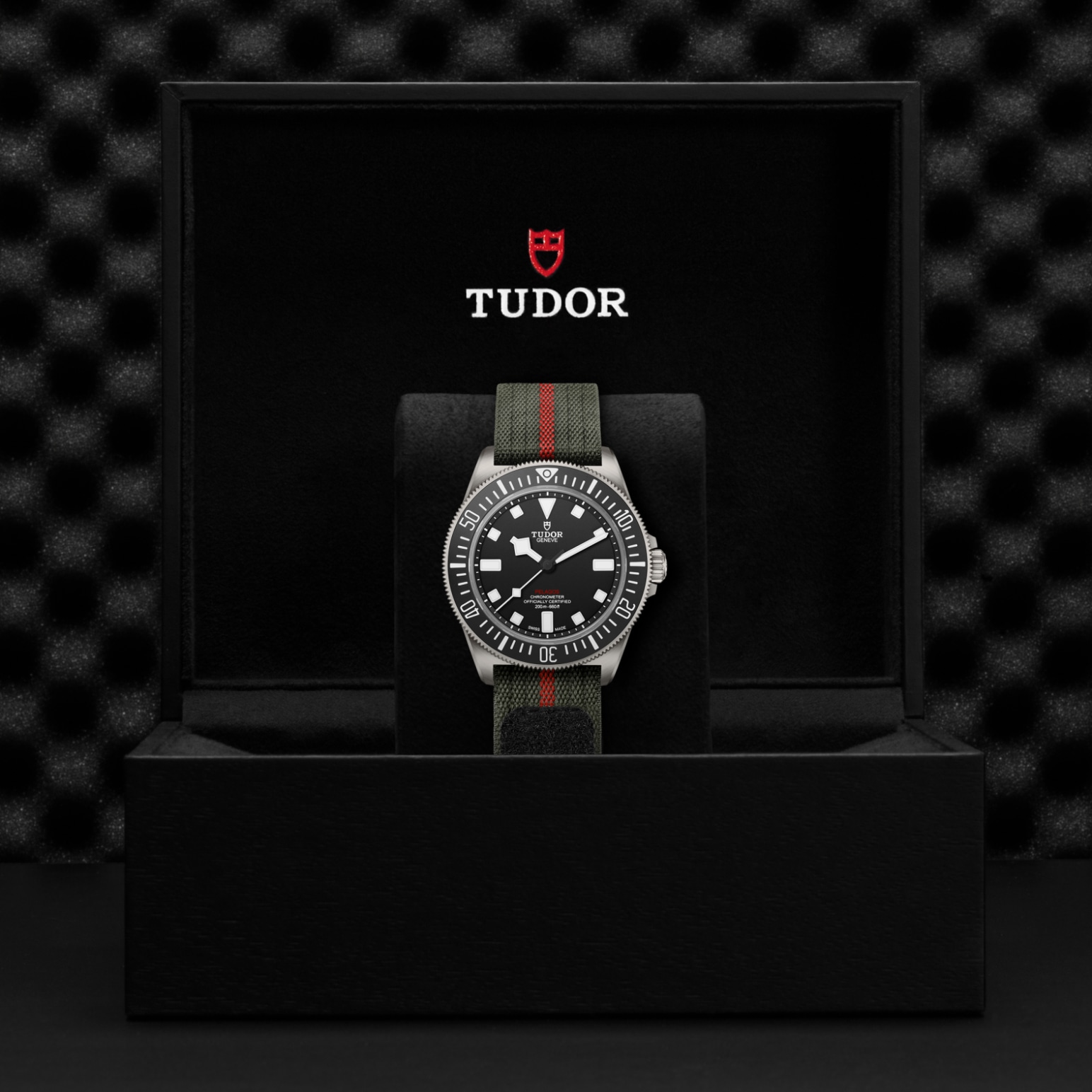 Tudor Thumbnail