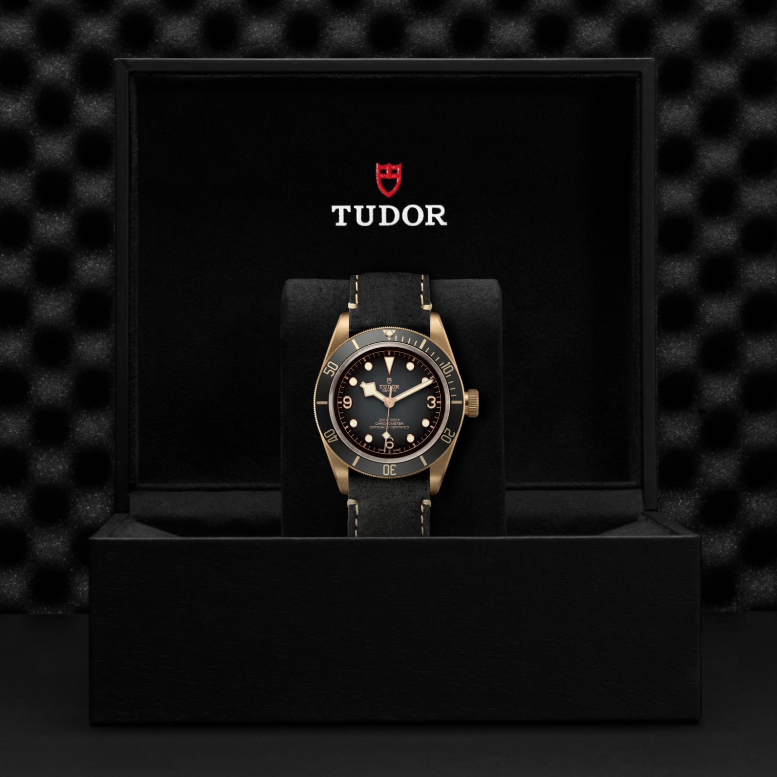 Tudor Thumbnail