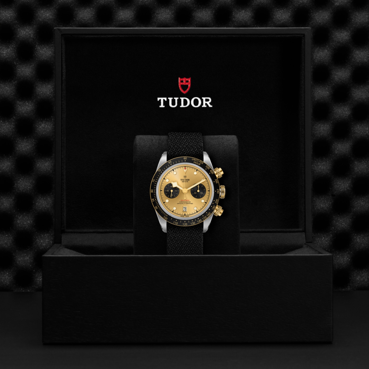 Tudor Thumbnail