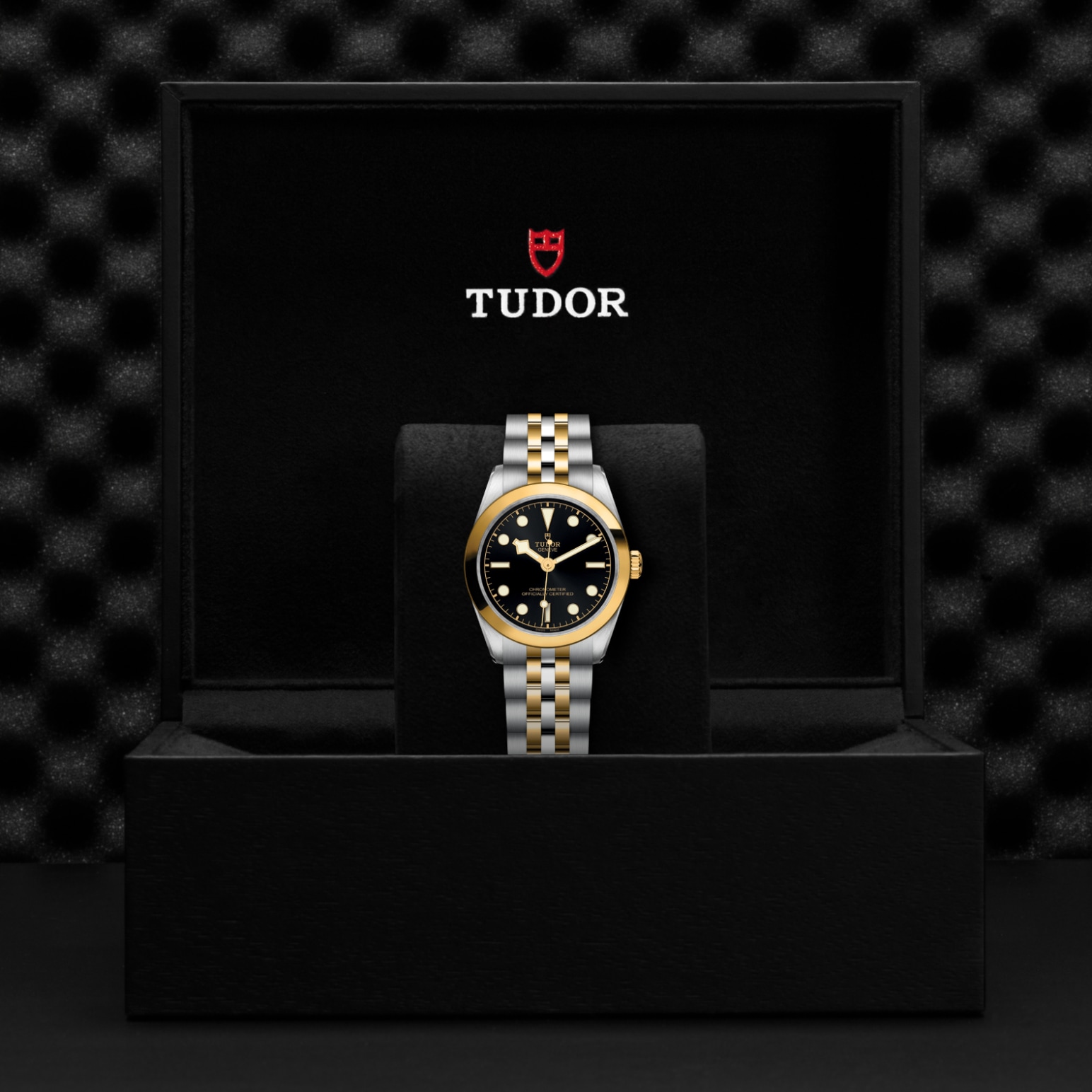 Tudor Thumbnail