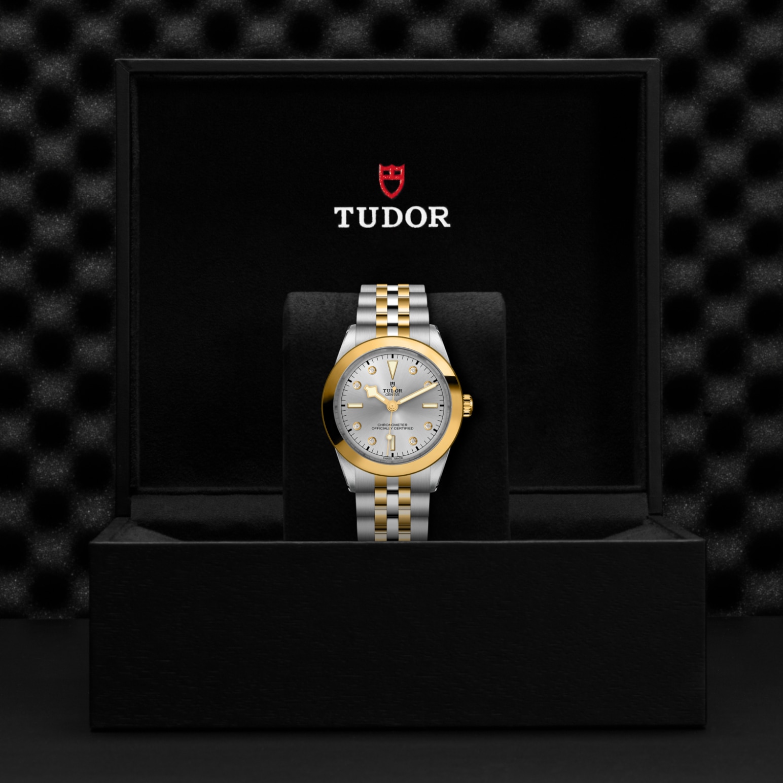 Tudor Thumbnail