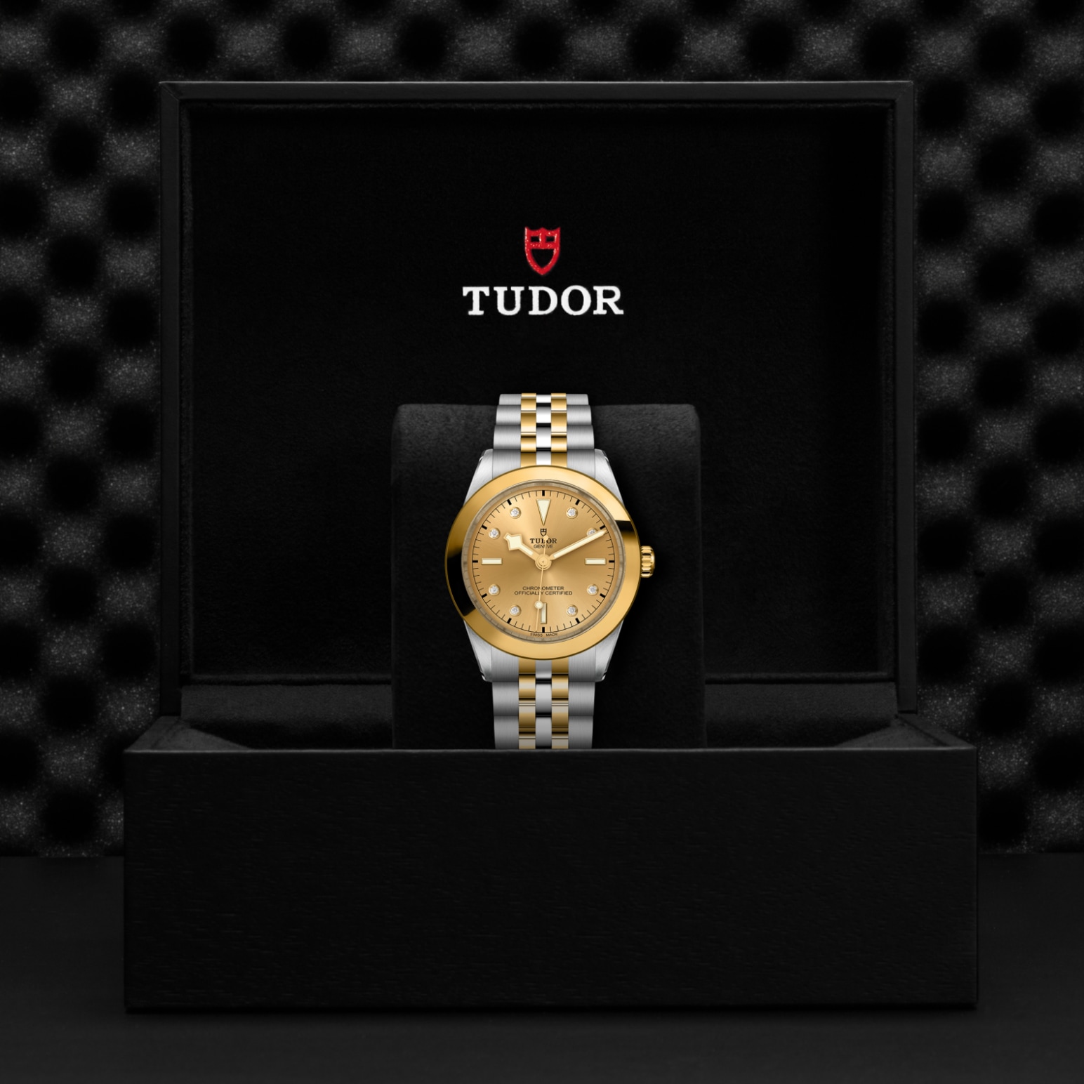 Tudor Thumbnail