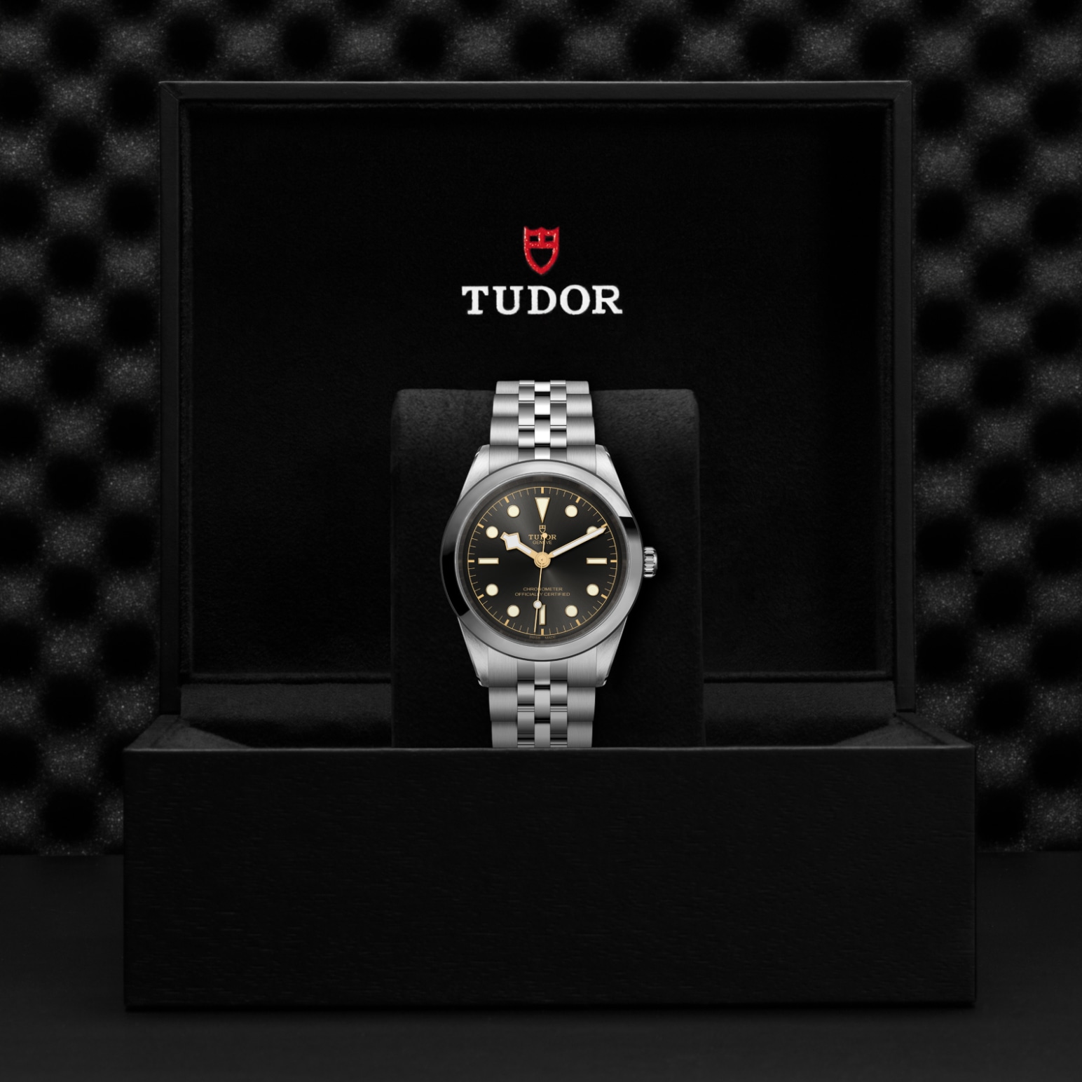 Tudor Thumbnail