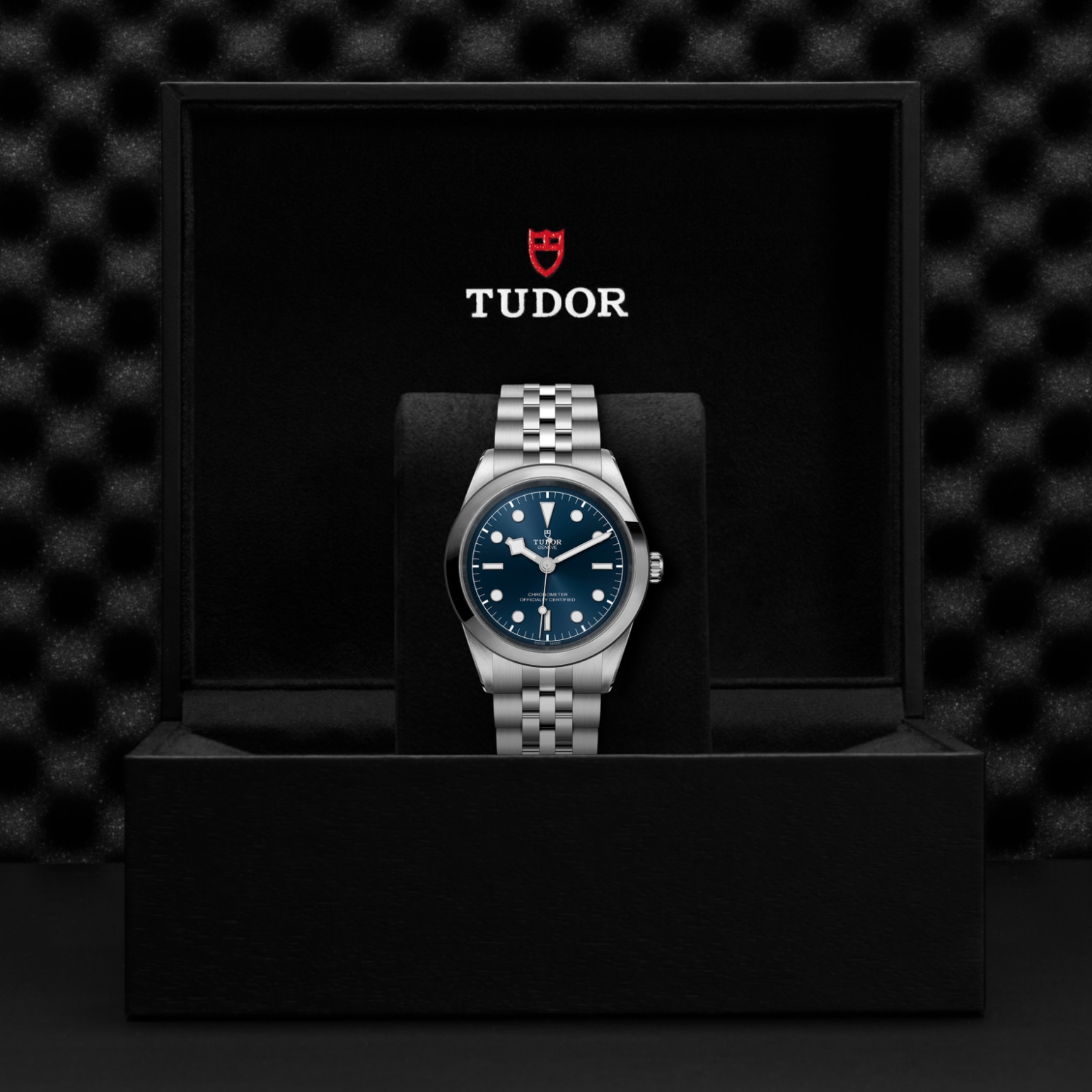 Tudor Thumbnail